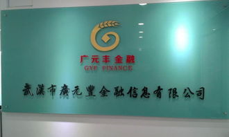 武漢廣元豐金融信息財務咨詢服務 打造企業財務健康新生態